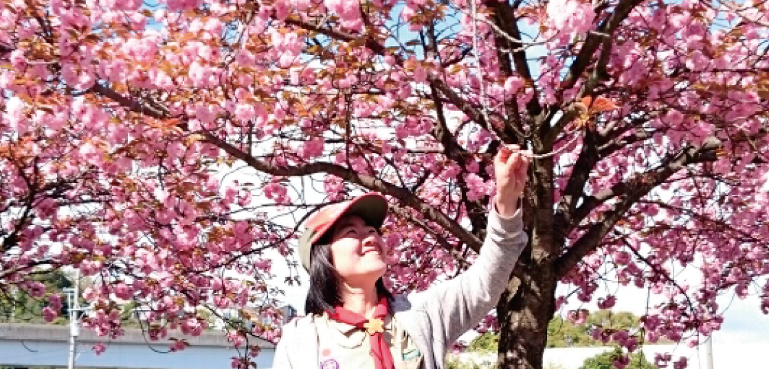 春とさくらと八重桜♪