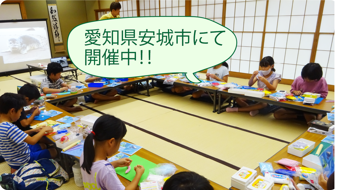 次の講座はいつかな？