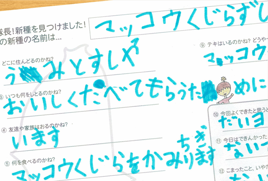 新種発見報告書