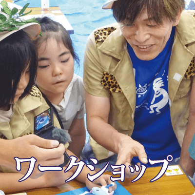 ワークショップ