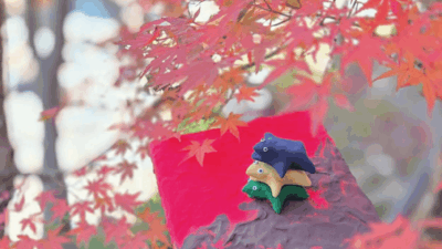 香嵐渓　～ 一期一会の「重なり」を形にする ～